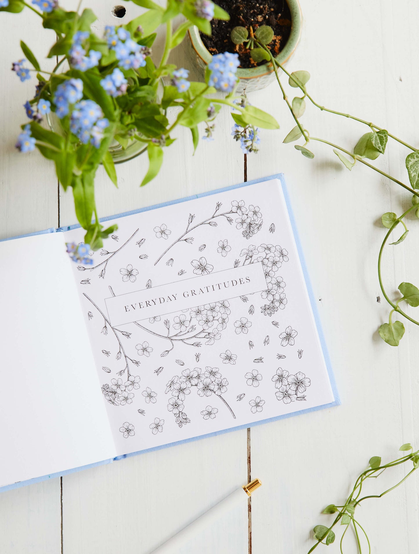 Everyday Gratitudes