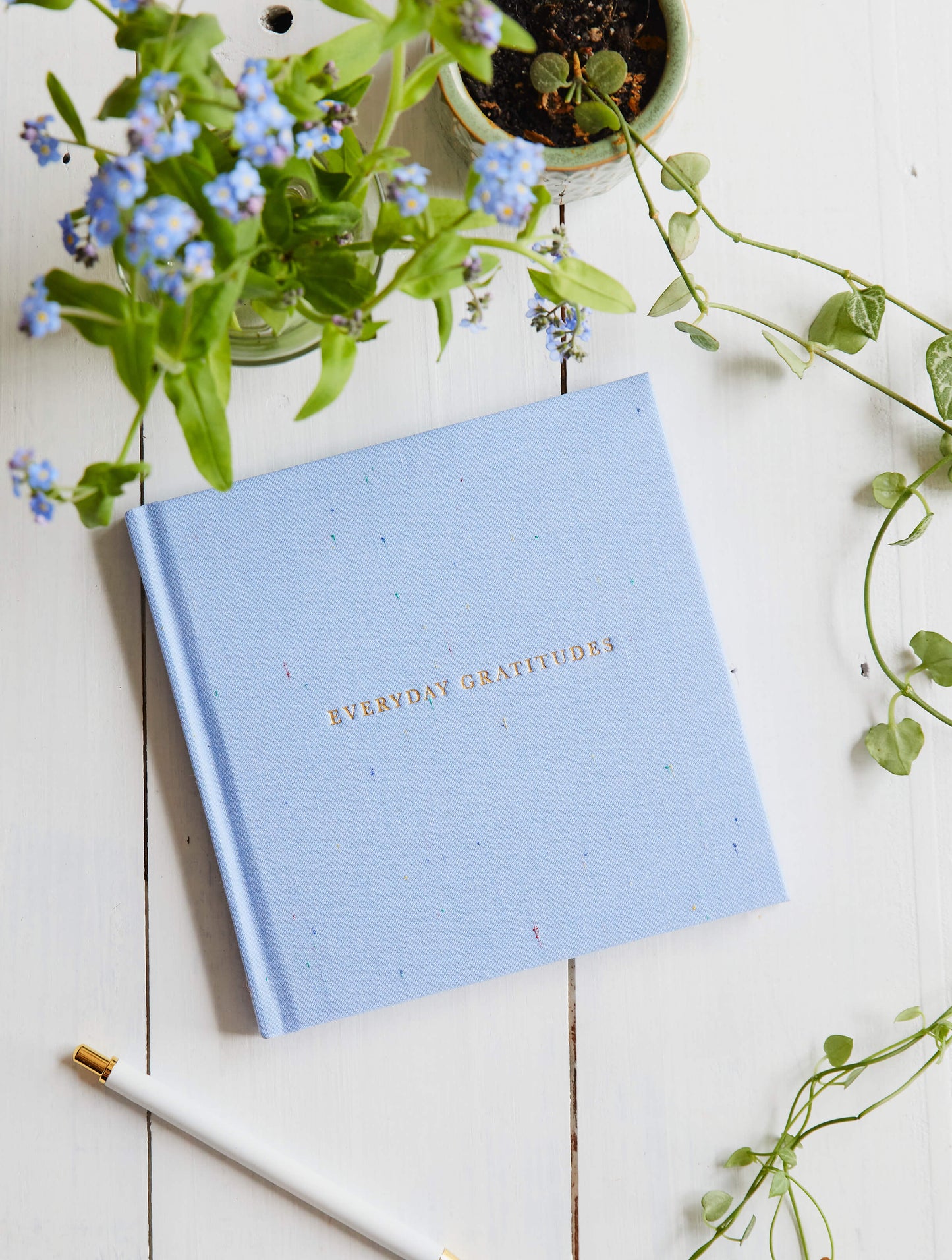 Everyday Gratitudes